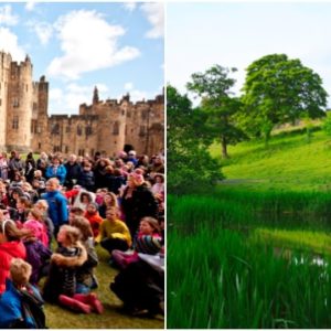 Alnwick Castle Best Family Day Out