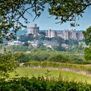 Summer view of Windsor