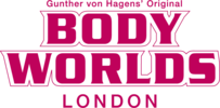 Body Worlds London