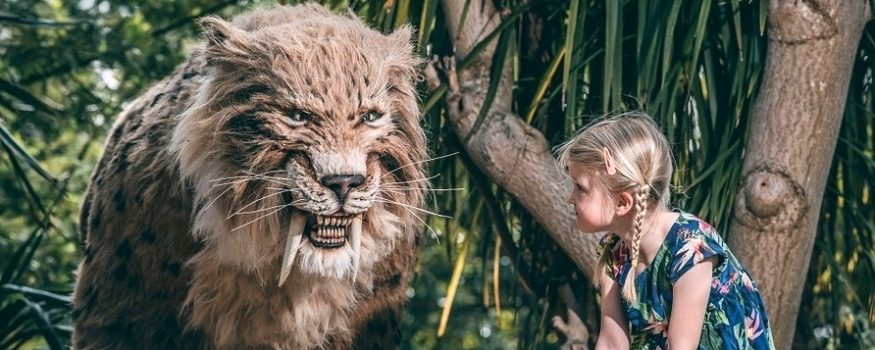 Chester Zoo Predators