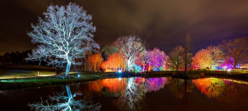 Christmas Glow RHS Gardens Harlow Carr