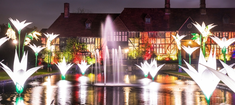 Christmas Glow RHS Garden Wisley