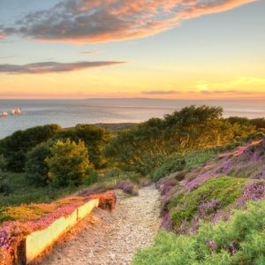 The Isle of Wight awarded UNESCO Biosphere Reserve Status