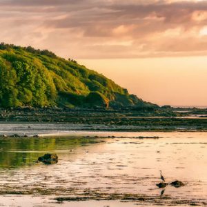 National Trust Scotland film tourism