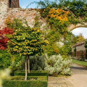 Visit Kent online campaign