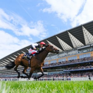 Royal Ascot At Home