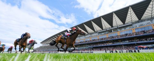 Royal Ascot At Home