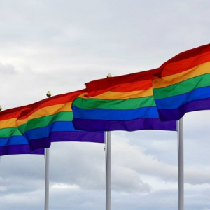 The Rainbow Connections trail