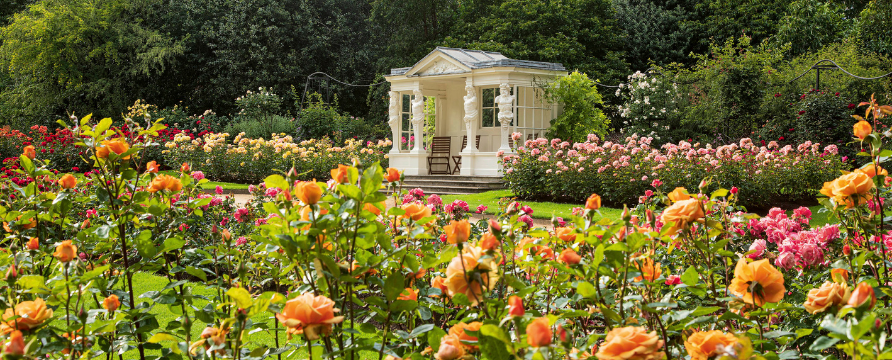 The Rose Garden at Buckingham Palace.