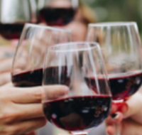 Virtual tasting: Secrets of the Cellar