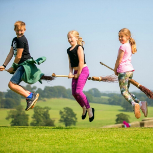 Broomstick training