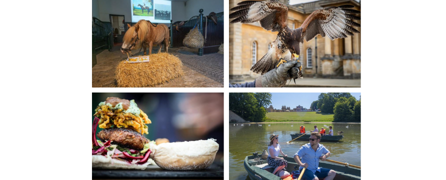 Summer at Blenheim Palace