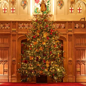 Christmas tree in St George's Hall Windsor Castle