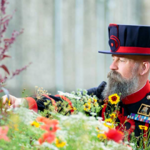 Tower of London Superbloom