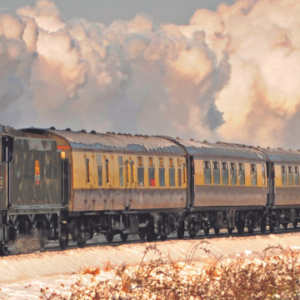 Vintage Trains Christmas