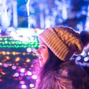 Blenheim Palace Christmas 2022