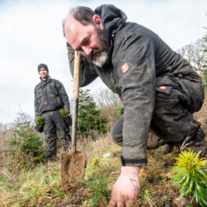 Blenheim Palace Christmas Tree Planting