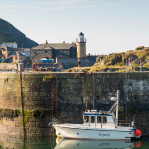 Rabbies Tours Scotland