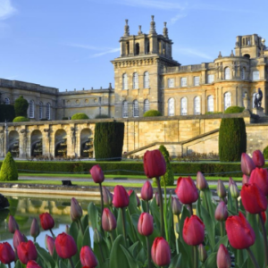 Blenheim Palace Gardens