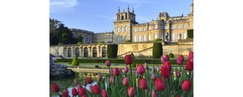 Blenheim Palace Gardens