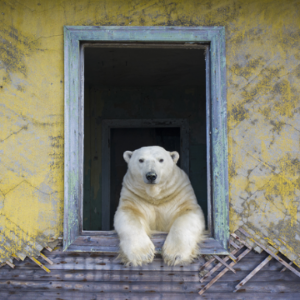 Manx National Heritage Wildlife Exhibition