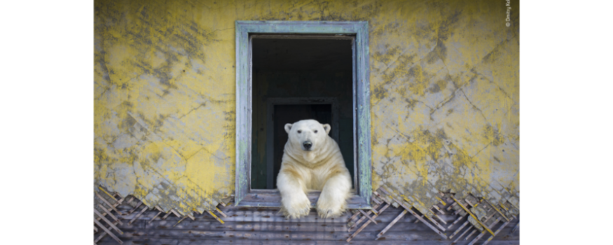 Manx National Heritage Wildlife Exhibition