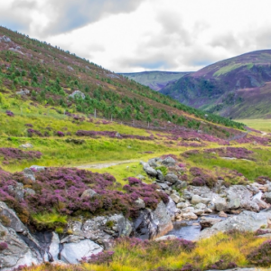 Visit Cairngorms National Park