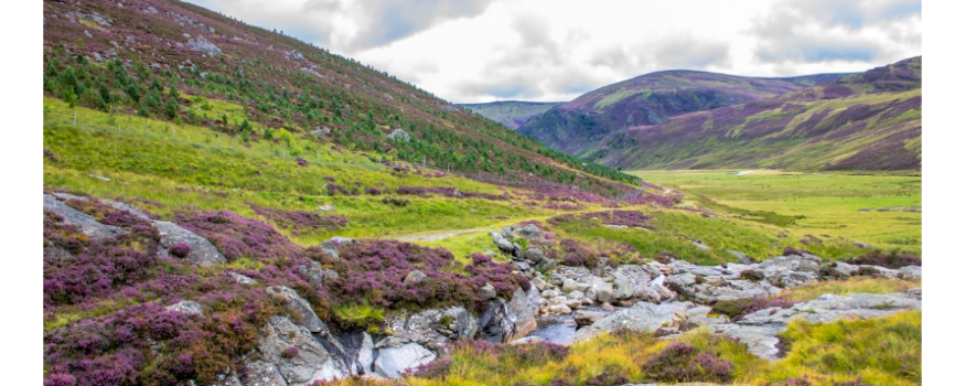 Visit Cairngorms National Park