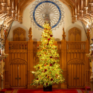 Windsor Castle Christmas Tree Display