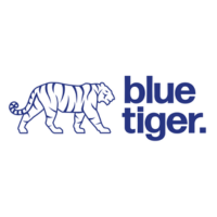 Blue Tiger Marketing (2)