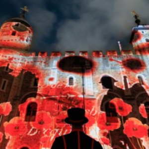 English Heritage Poppy Display