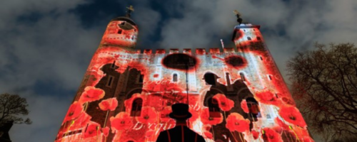 English Heritage Poppy Display