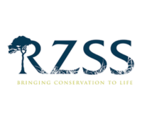RZSS (1)