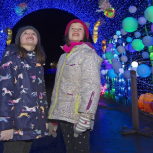 RZSS Illumination trail