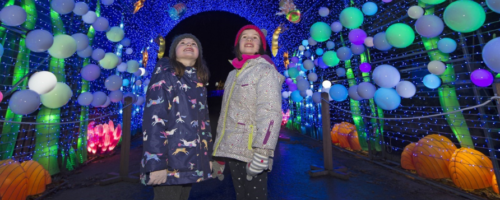 RZSS Illumination trail